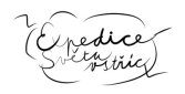 Blog naší expedice :: svetuvstric
